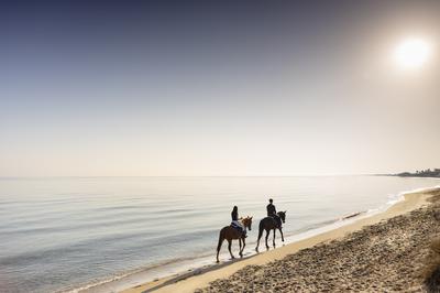 Horse riding on the Beach