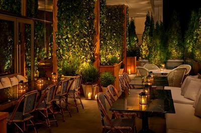 The Terrace & Outdoor Gardens