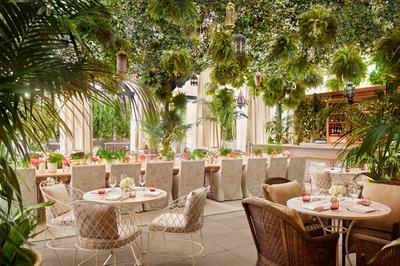 The Terrace & Outdoor Gardens