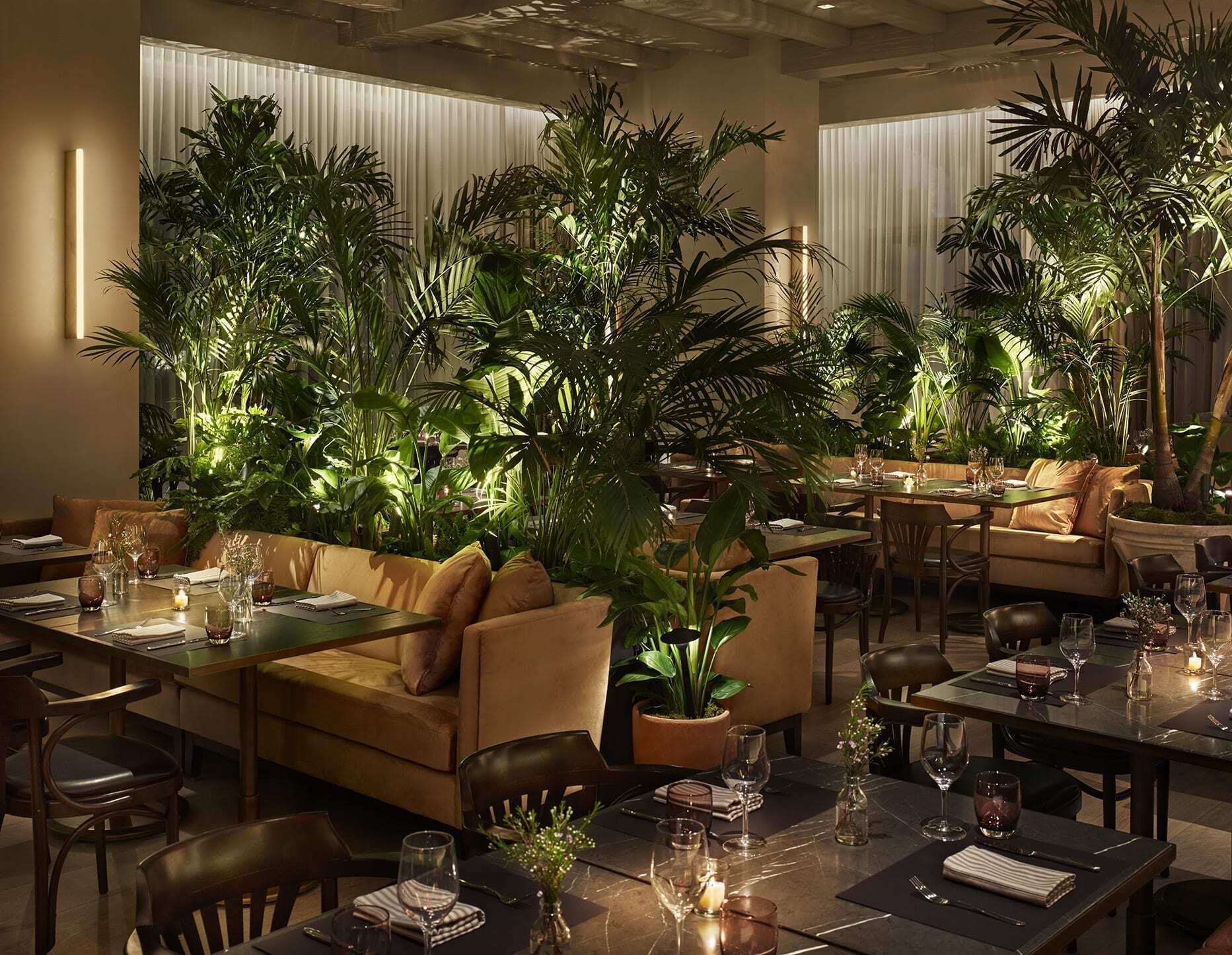 The Terrace & Outdoor Gardens
