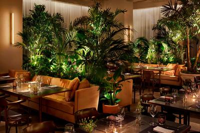 The Terrace & Outdoor Gardens