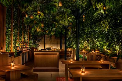 The Terrace & Outdoor Gardens