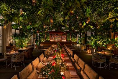 The Terrace & Outdoor Gardens