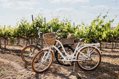 Complimentary Bikes