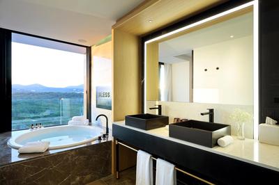 Studio Suite