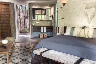 Jungle Suite
