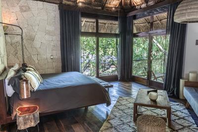 Jungle Suite