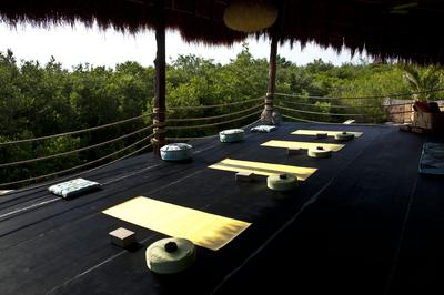 Tree Top Yoga