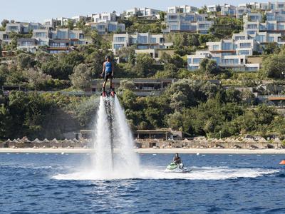 Flyboard