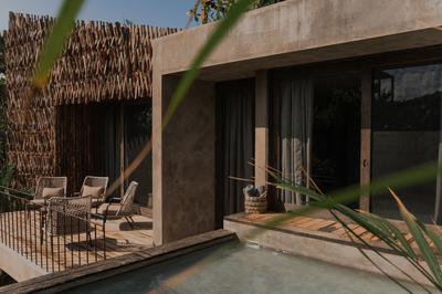 Premier Jungle Suite