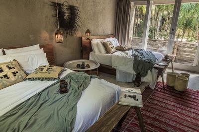 Jungle Suite