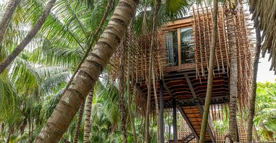 Treehouses