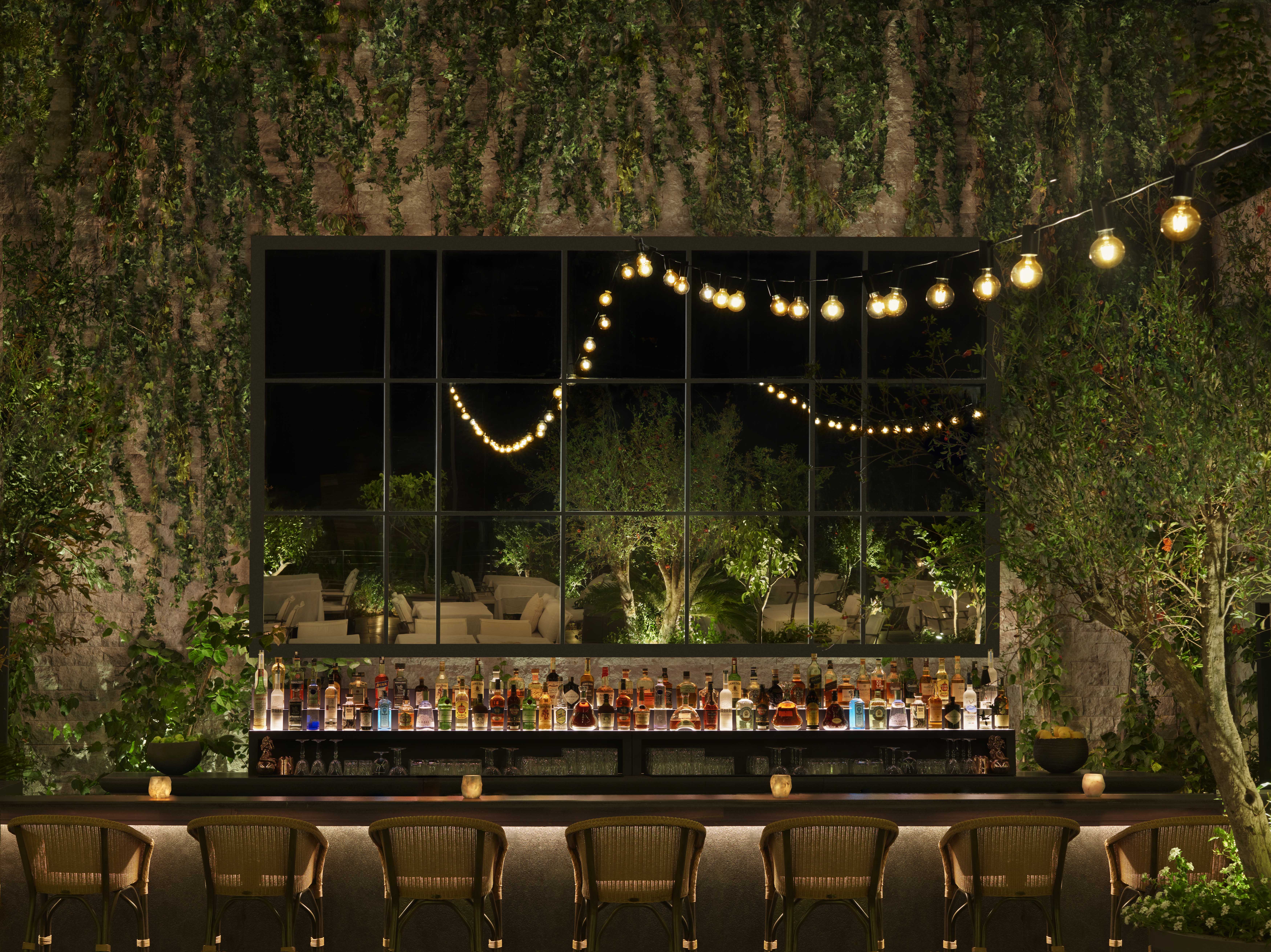 Brava & The Bar