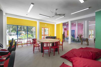 Dolphin Kids Club