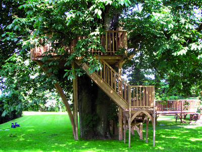 Treehouse