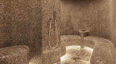 Auriga Wellness