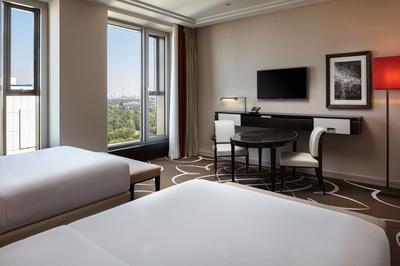 Deluxe Room with View