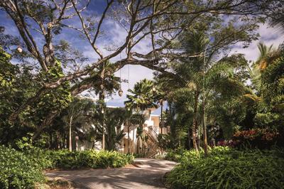 Lush Resort Grounds