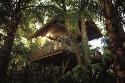 Spa Botánico Treehouse