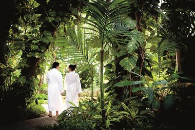 Garden at Spa Botánico