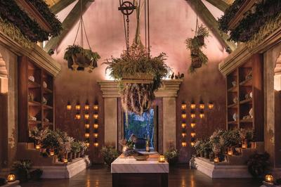 Spa Botánico Apothecary Portal