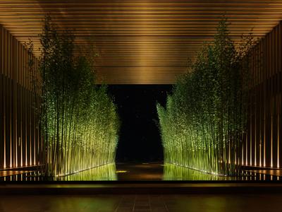 The Sanya EDITION image
