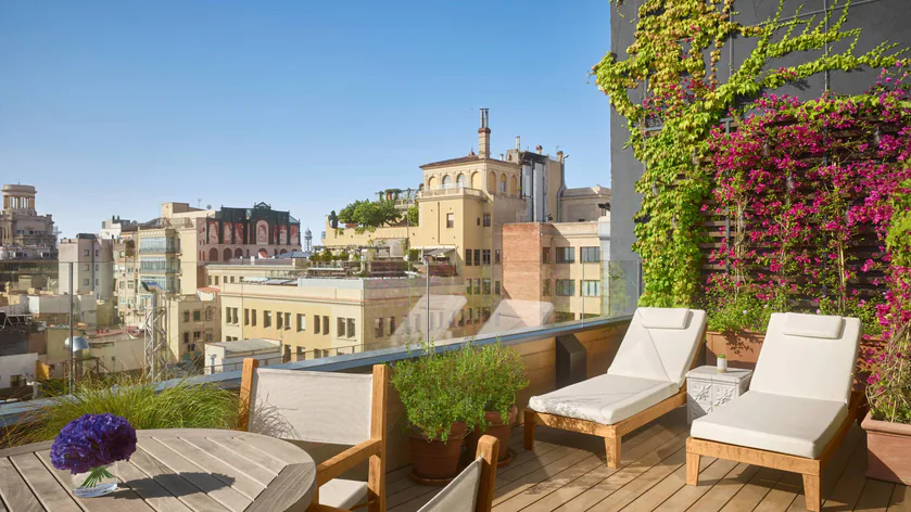 Studio Terrace