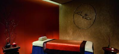The Portman Ritz-Carlton, Shanghai image
