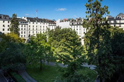 Classic Garden View