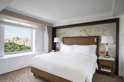 Premiere Park View Suite