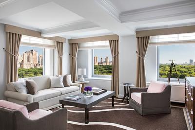 Premiere Park View Suite
