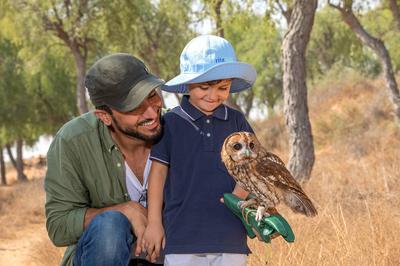 Al Wadi Nature Reserve - Falconry