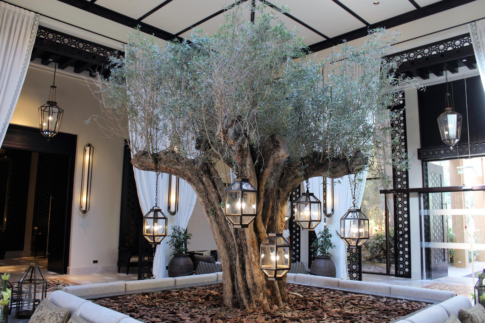 The Ritz-Carlton Ras Al Khaimah, Al Wadi Desert