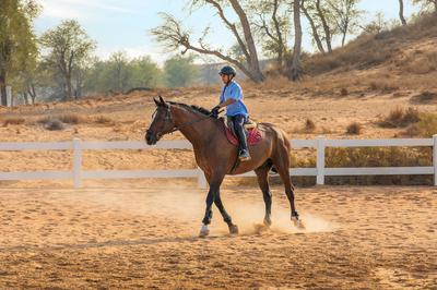 Al Wadi Nature Reserve - Horseback Riding