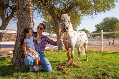 Al Wadi Nature Reserve