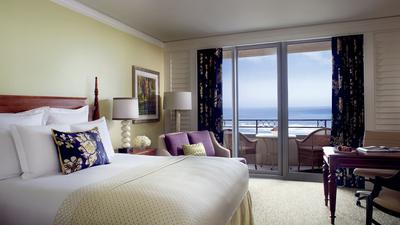 The Ritz-Carlton, Amelia Island image