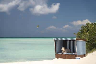 Dog Beach Cabanna