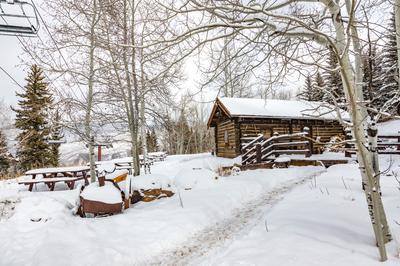 Anderson's Cabin