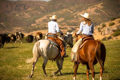 Horse Riding