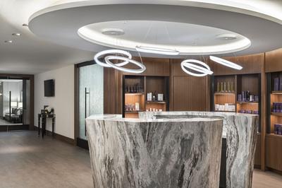 The Ritz-Carlton, Chicago image