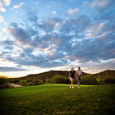 The Ritz-Carlton, Dove Mountain image