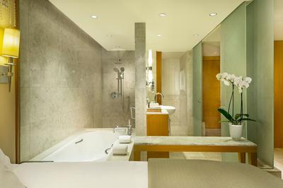 Deluxe Room / Premier Room