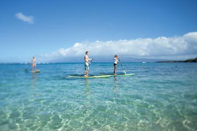 The Ritz-Carlton Maui, Kapalua image