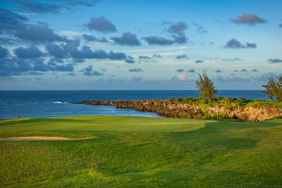 The Ritz-Carlton Maui, Kapalua image