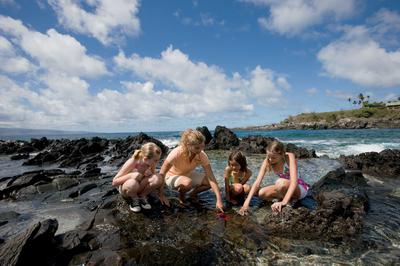 The Ritz-Carlton Maui, Kapalua image