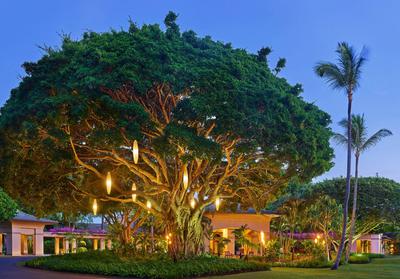 The Ritz-Carlton Maui, Kapalua image