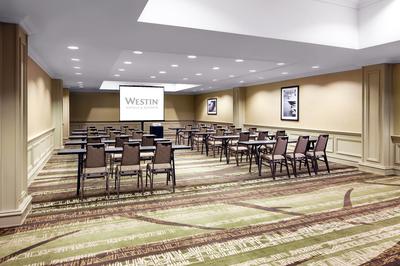 The Westin Michigan Avenue Chicago image