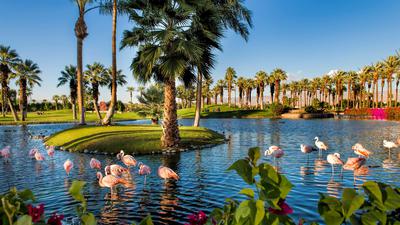 JW Marriott Desert Springs Resort & Spa image