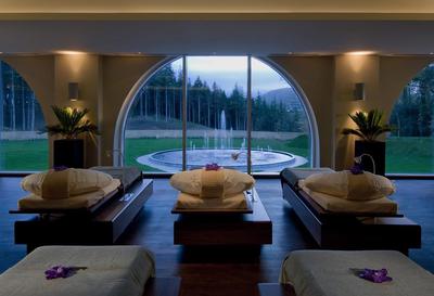 Powerscourt Hotel image