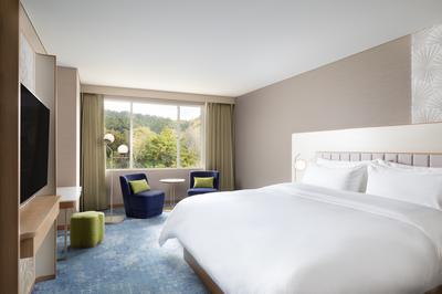 Luxury Club Level, 1 Bedroom Suite